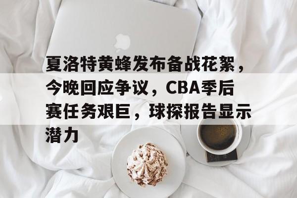 九游游戏盒-夏洛特黄蜂发布备战花絮，今晚回应争议，CBA季后赛任务艰巨，球探报告显示潜力的简单介绍
